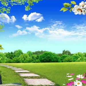Tranh 3D hiện đại Bầu trời Thảm cỏ xanh